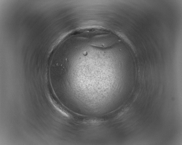 X0000054400533200508121701