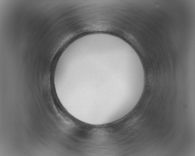 X0000054400534200508121701