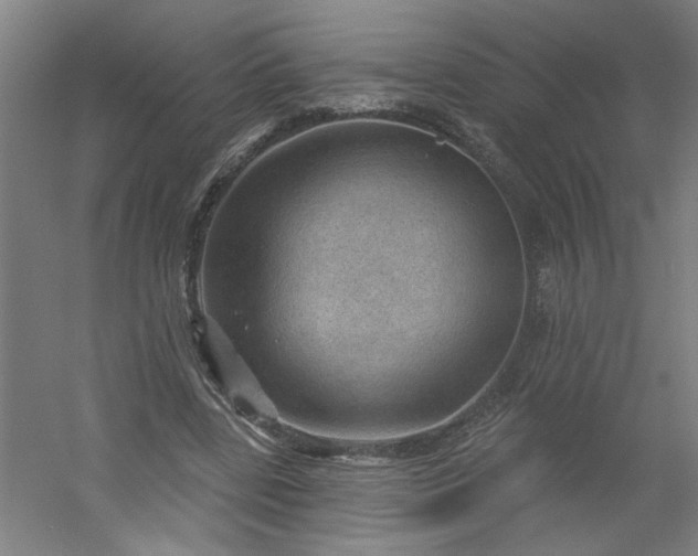 X0000054400539200508121701