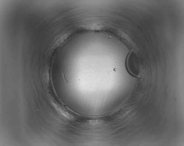 X0000054400541200508121701