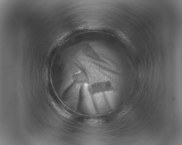 X0000054400542200508121701