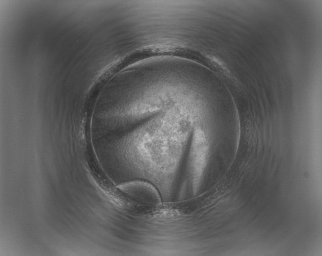 X0000054400543200508121701