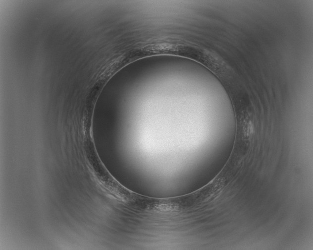 X0000054400546200508121701