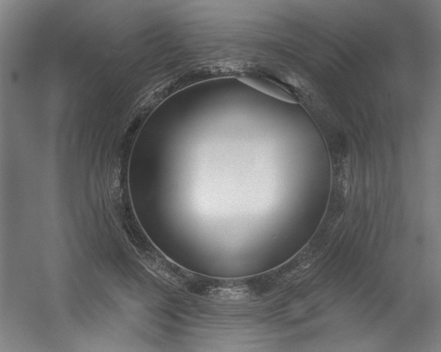 X0000054400548200508121702