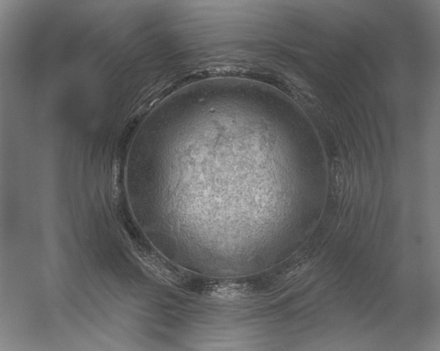 X0000054400550200508121702