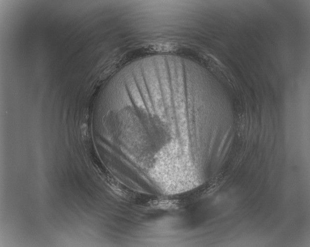 X0000054400553200508121702