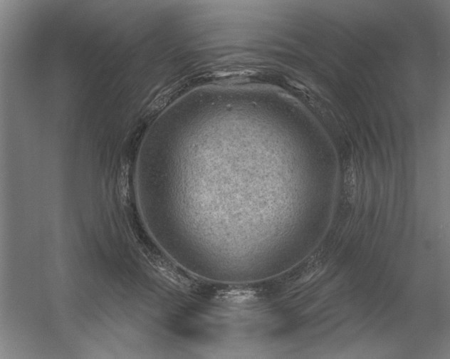 X0000054400554200508121702