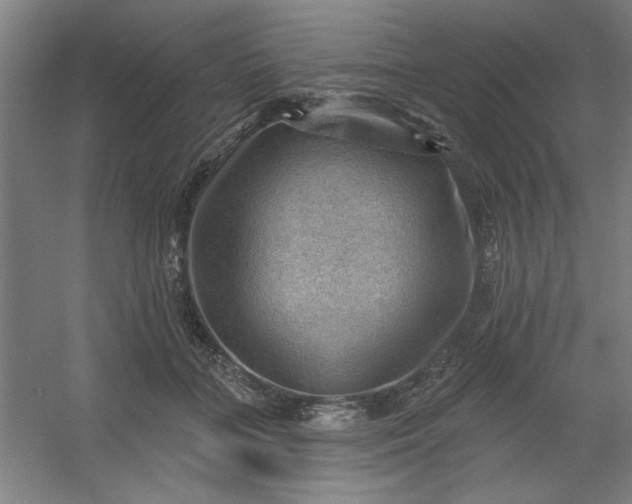 X0000054400555200508121702