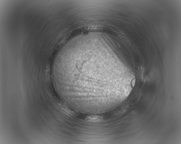 X0000054400557200508121702