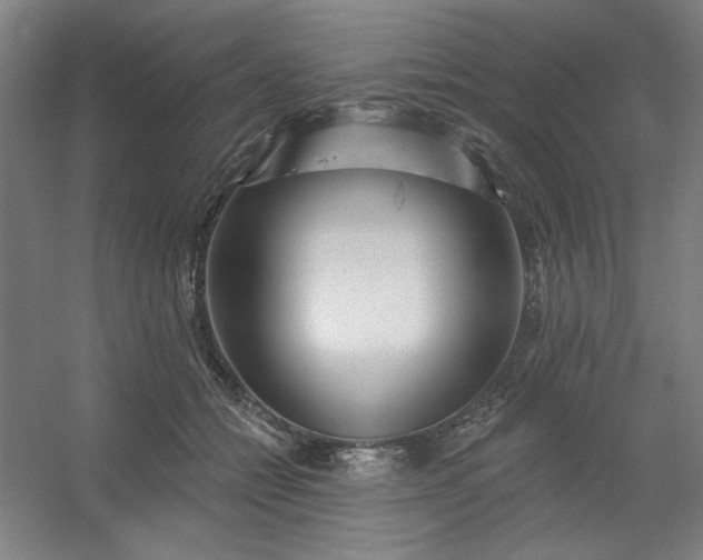 X0000054400558200508121702