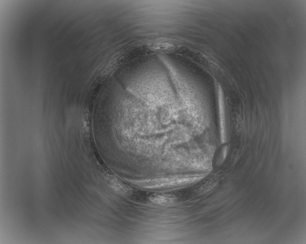 X0000054400561200508121702