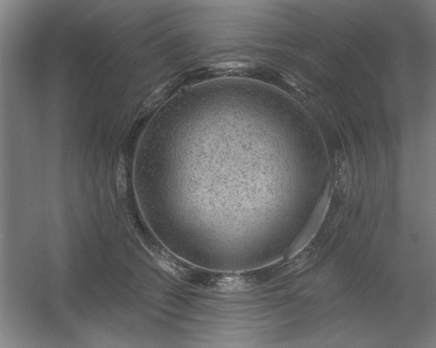 X0000054400562200508121702