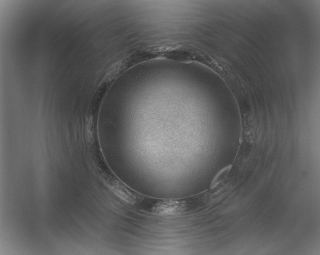 X0000054400563200508121702