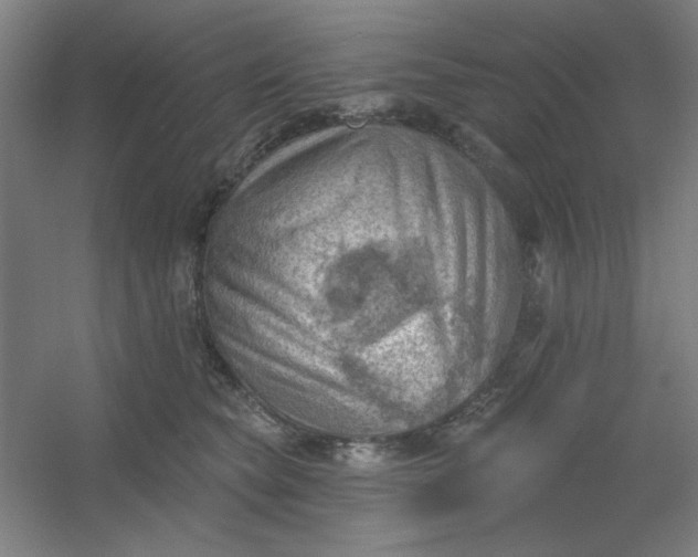 X0000054400565200508121702