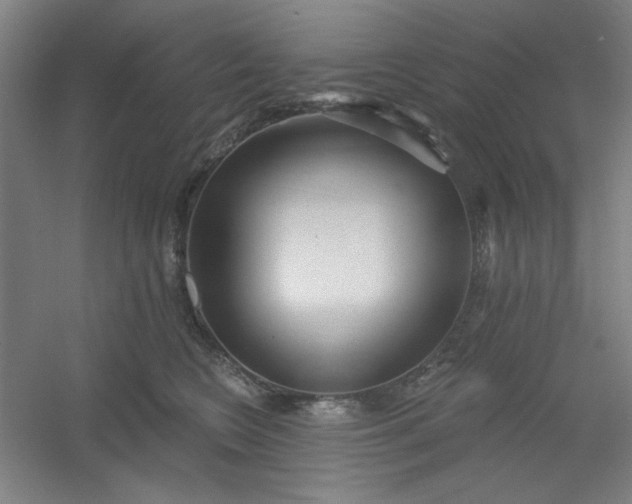 X0000054400566200508121702