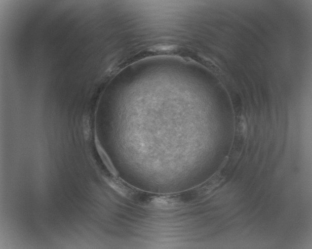 X0000054400568200508121702