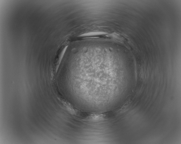 X0000054400569200508121702