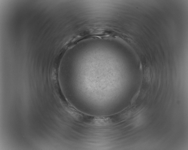 X0000054400571200508121702