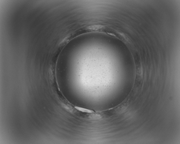 X0000054400572200508121702