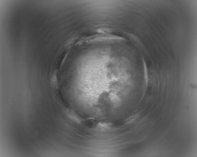 X0000054400573200508121702