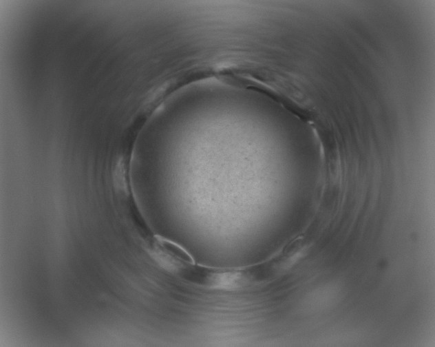 X0000054400575200508121702