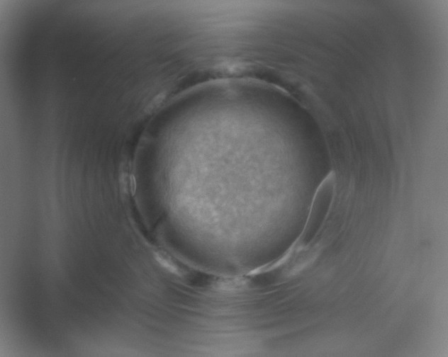 X0000054400576200508121702