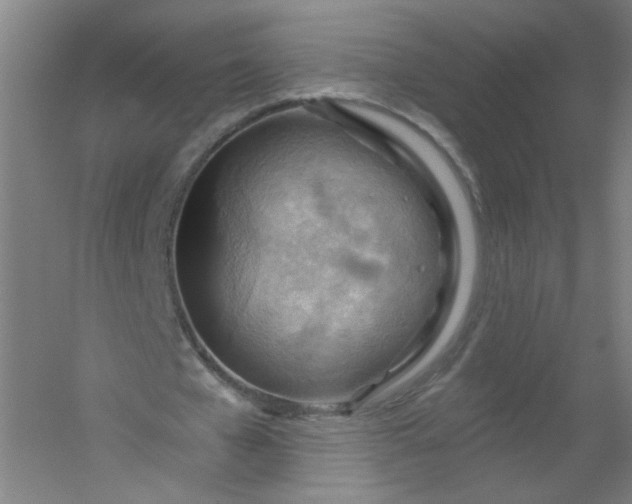 X0000054400577200508121701