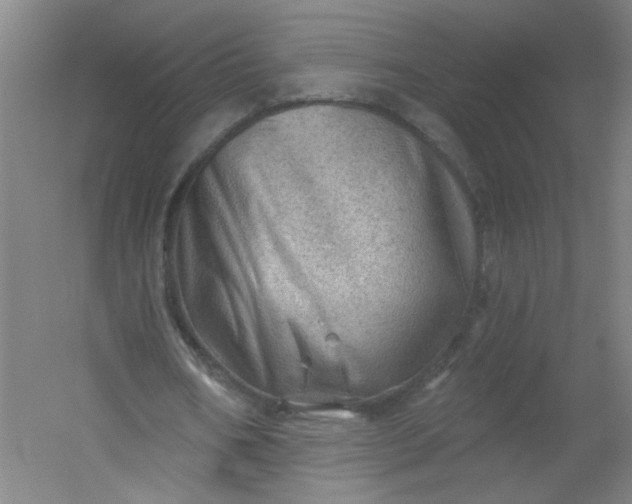 X0000054400578200508121701