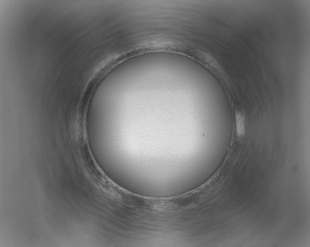 X0000054400579200508121701