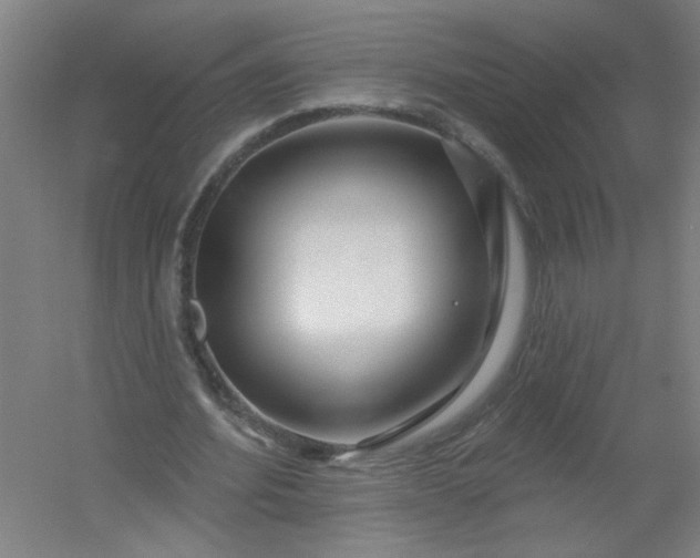 X0000054400580200508121701