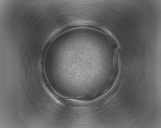 X0000054400581200508121701