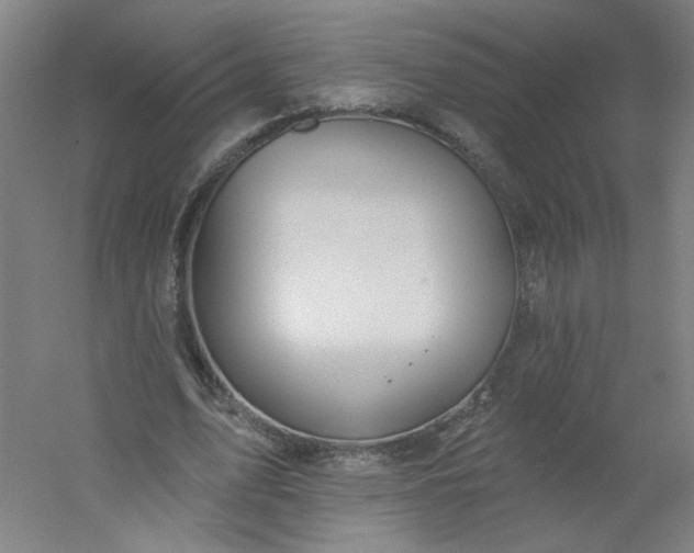 X0000054400583200508121701