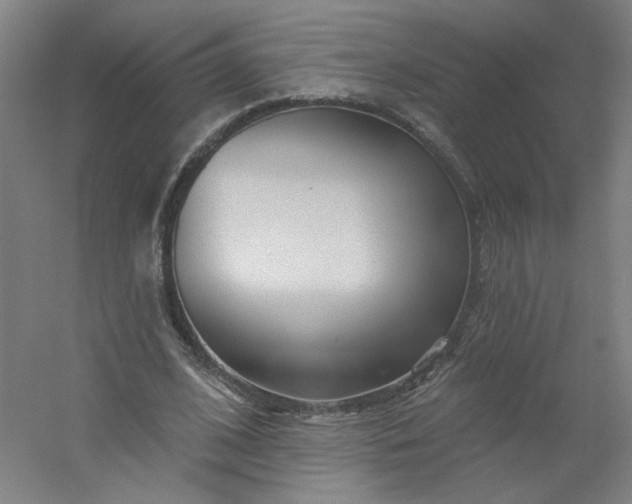 X0000054400584200508121701