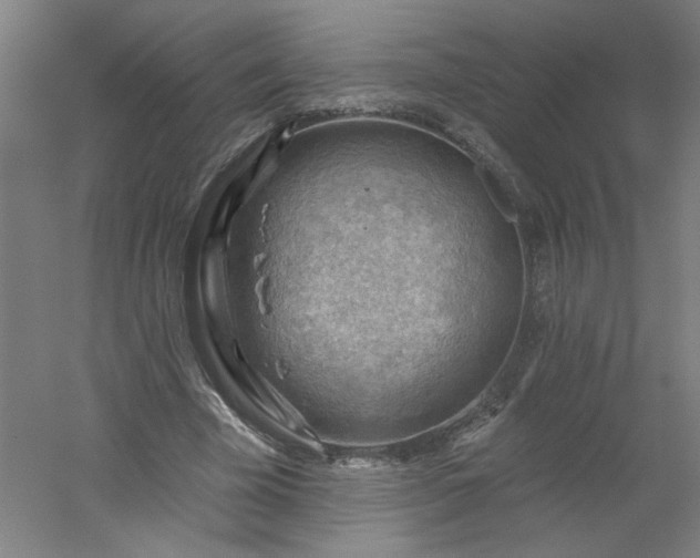 X0000054400585200508121701