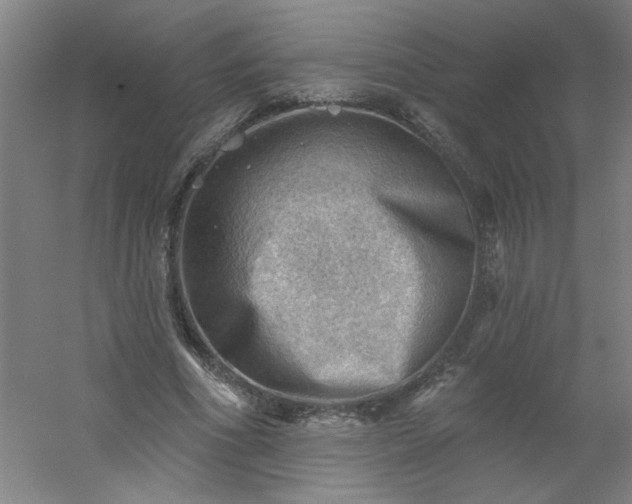 X0000054400586200508121701