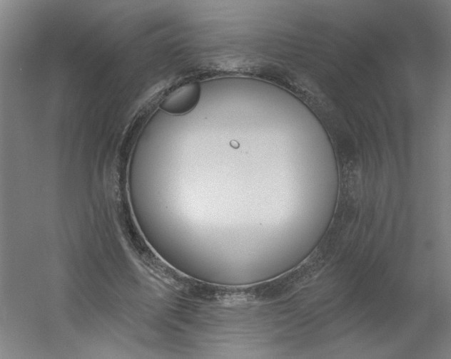 X0000054400587200508121701