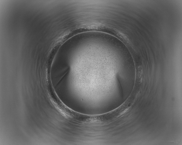 X0000054400589200508121701