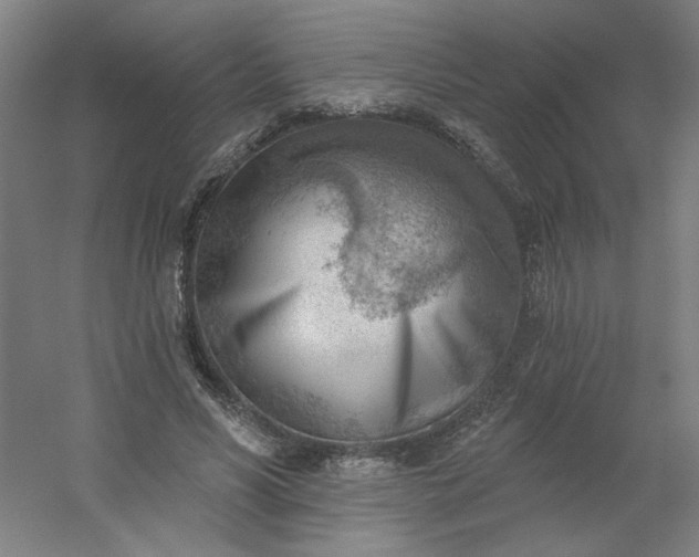 X0000054400590200508121701