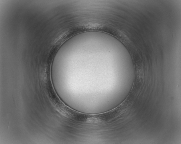 X0000054400591200508121701