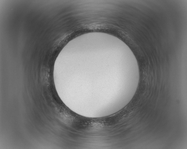 X0000054400592200508121701