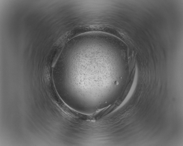 X0000054400593200508121701