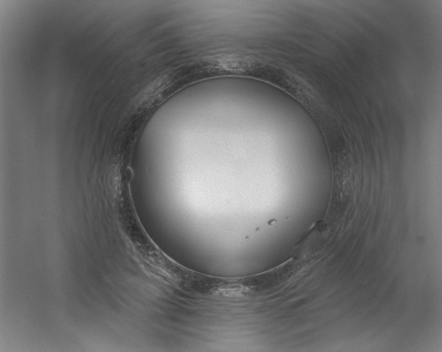 X0000054400595200508121701