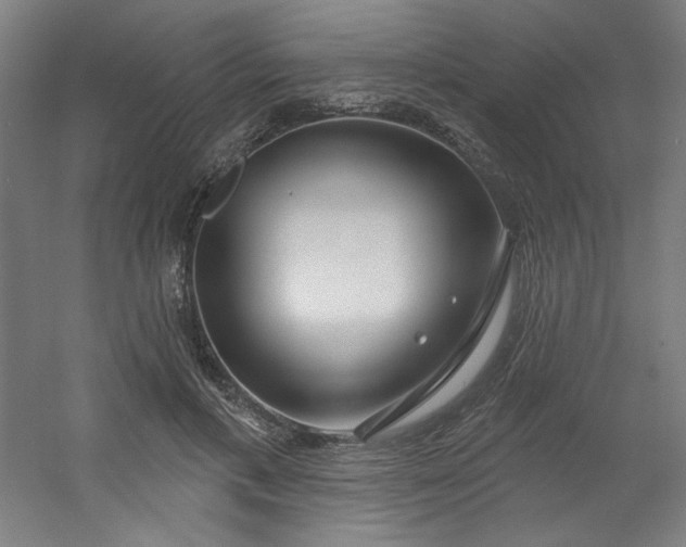 X0000054400597200508121701