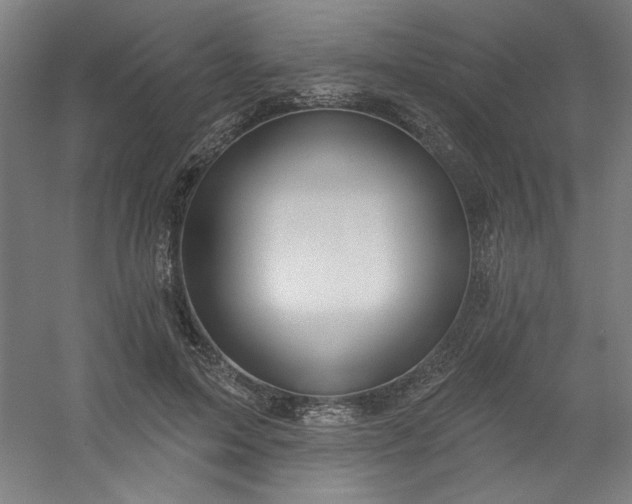 X0000054400599200508121701