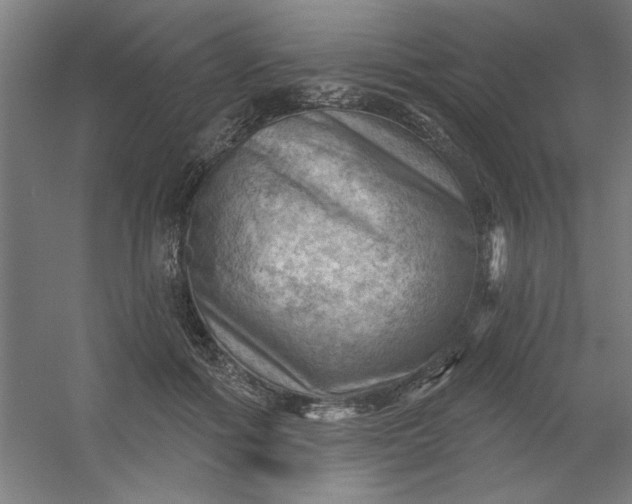 X0000054400602200508121701