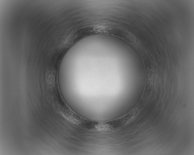 X0000054400603200508121701