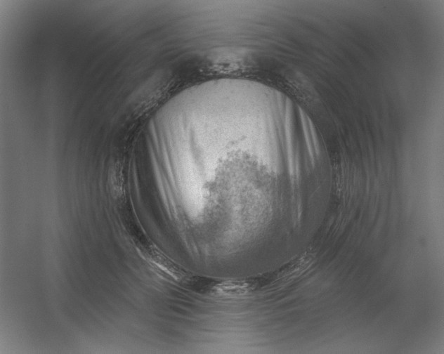 X0000054400606200508121701