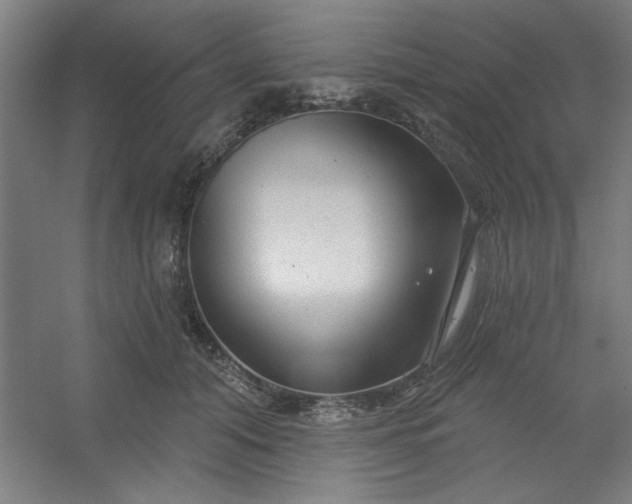 X0000054400608200508121701