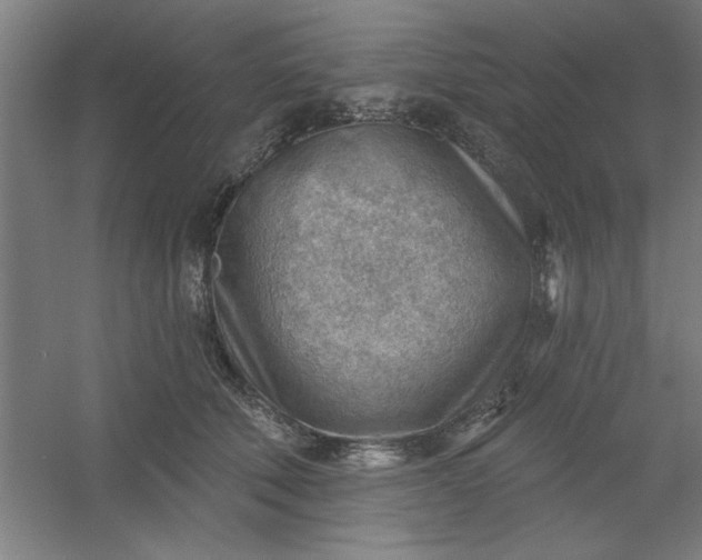 X0000054400610200508121701