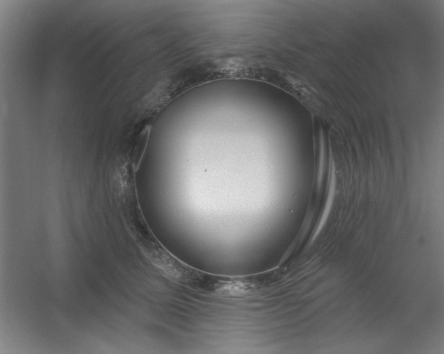 X0000054400611200508121701